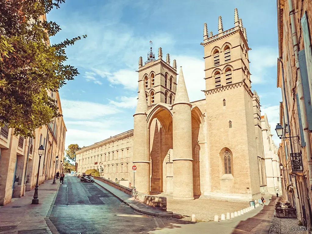 Католицький собор. Монпельє