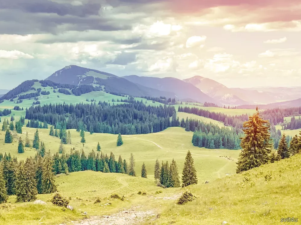 Національний парк Чейле Біказулуй – Хашмаш (Cheile Bicazului-Hășmaș)