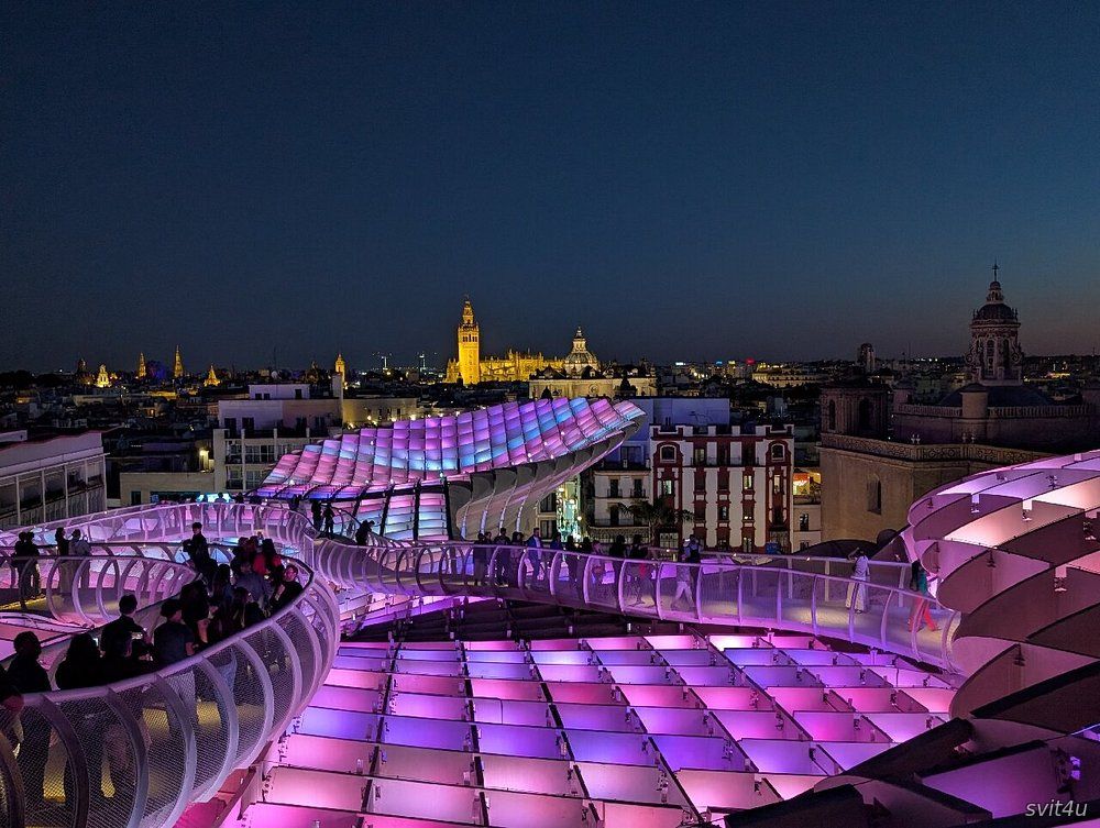 Метрополь Парасоль