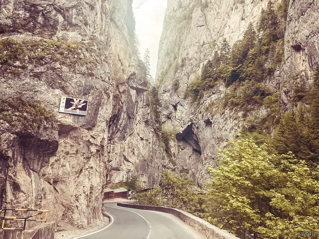 Ущелина Біказ (Cheile Bicazului)