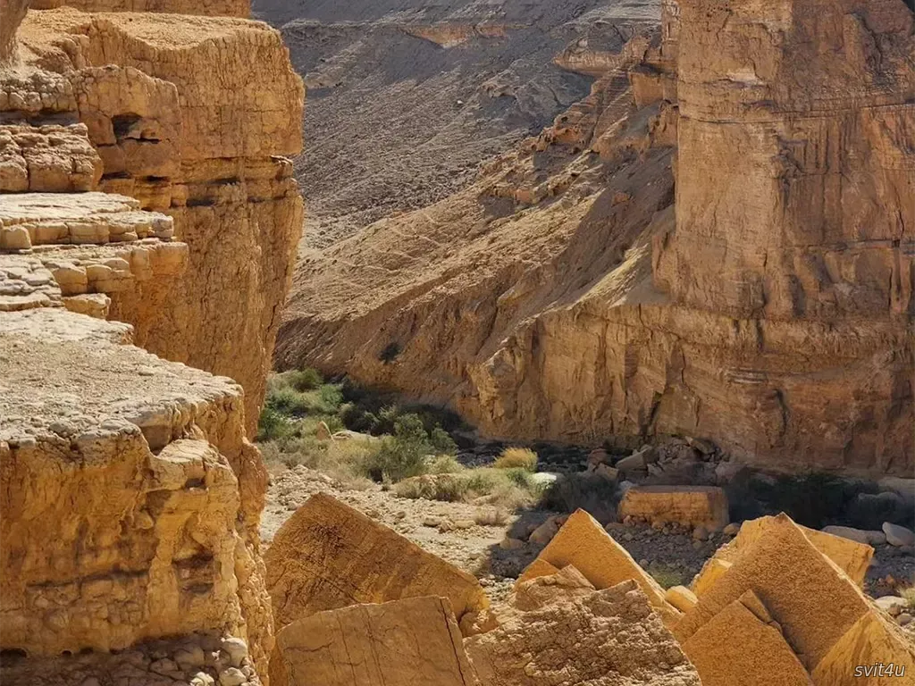 Юдейська пустеля