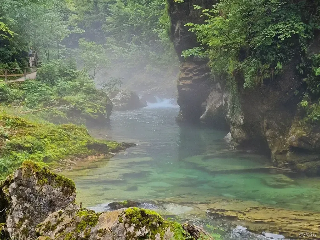Ущелина Вінтгар (Vintgar Gorge)